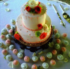 Mini cupcakes & 2-tier in peach & mint