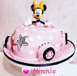 Minnie in car.JPG