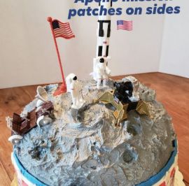 NASA cake.jpg